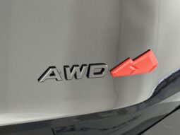 
 Nissan Rogue full									