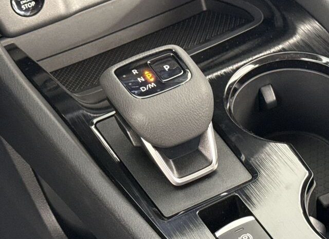
 Nissan Rogue full									