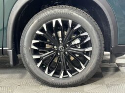 
 Nissan Rogue full									