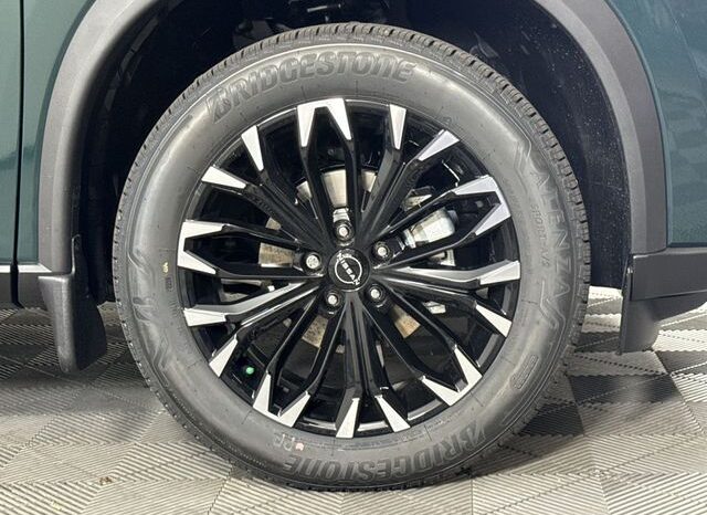 
 Nissan Rogue full									