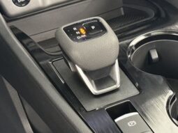 
 Nissan Rogue full									