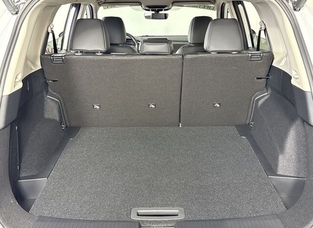 
 Nissan Rogue full									
