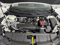 
 Nissan Rogue full									
