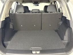 
 Nissan Rogue full									