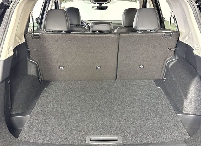 
 Nissan Rogue full									