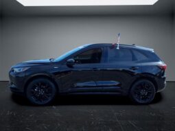 
 Ford Escape Hybrid full									