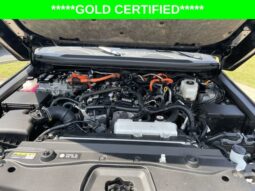 
										Toyota Land Cruiser full									