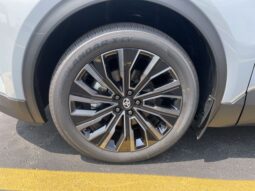 
 Toyota C-HR full									