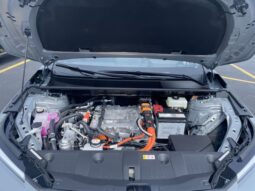 
 Toyota C-HR full									