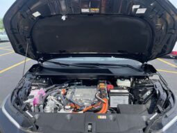 
 Toyota bZ Woodland full									