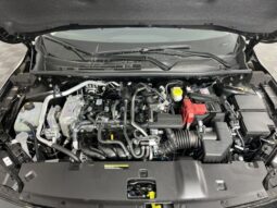 Nissan Sentra full