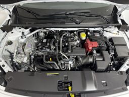 
 Nissan Sentra full									