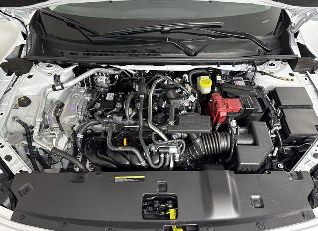 
 Nissan Sentra full									