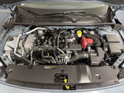 
 Nissan Sentra full									