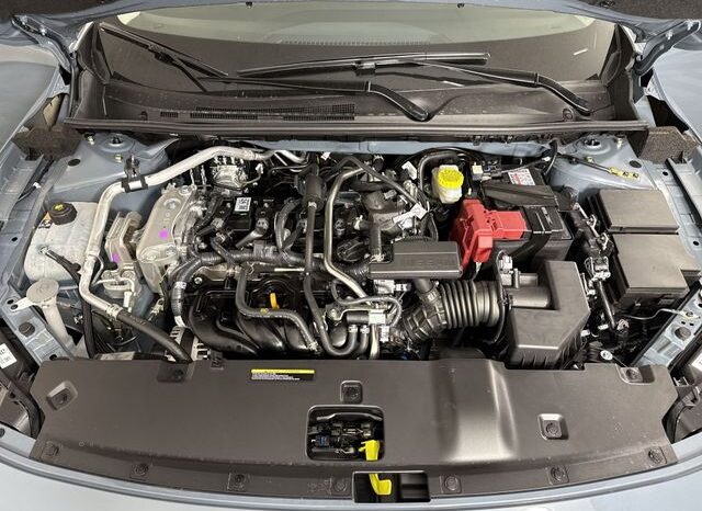
 Nissan Sentra full									
