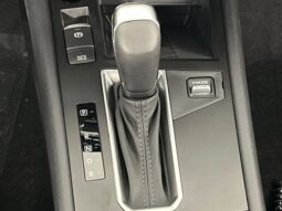 Nissan Kicks full