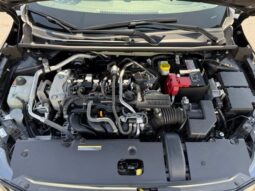 
 Nissan Sentra full									