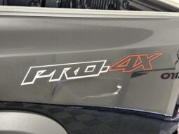 
 Nissan Frontier full									