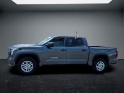 
 Toyota Tundra full									