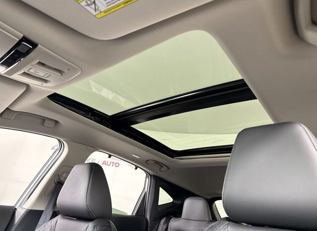 
 Nissan Murano full									