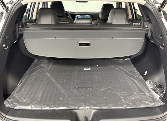 
 Nissan Murano full									