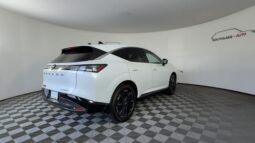 
 Nissan Murano full									