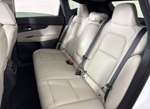 
 Nissan Murano full									