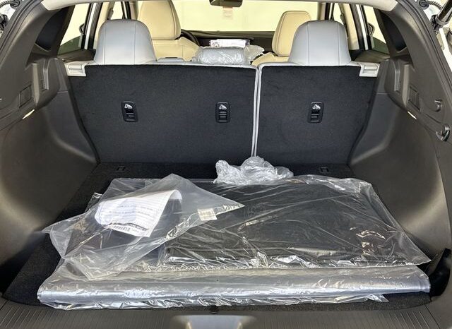 
 Nissan Murano full									