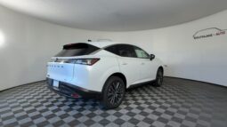 
 Nissan Murano full									