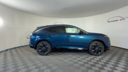 
 Nissan Murano full									