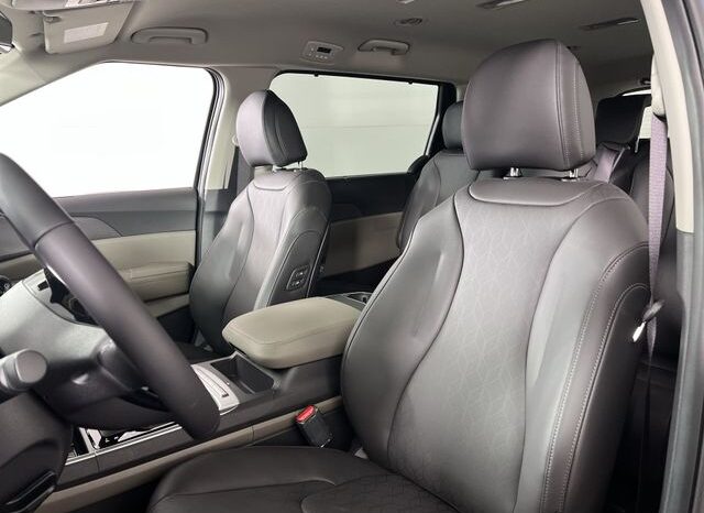 
 Kia Carnival full									
