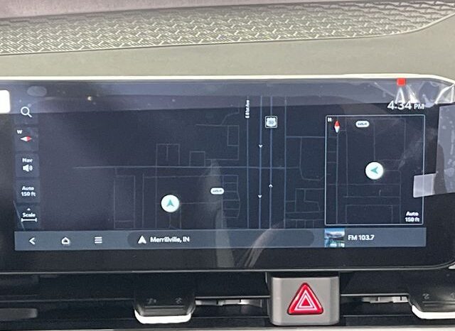 
 Kia Carnival full									