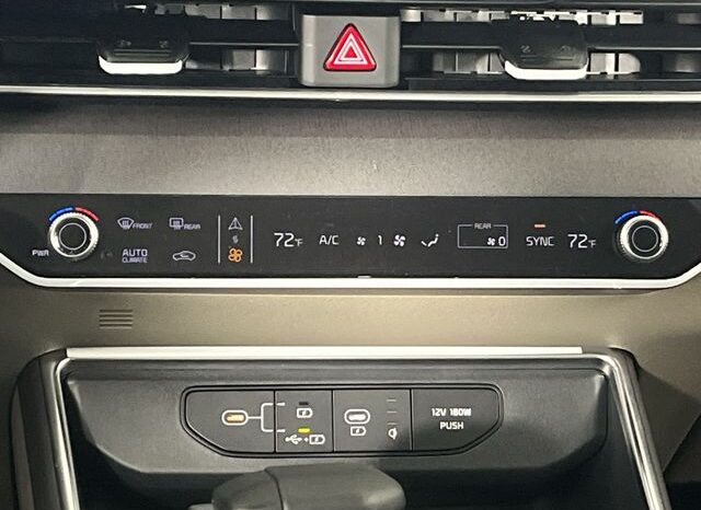 
 Kia Carnival full									