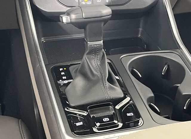 
 Kia Carnival full									