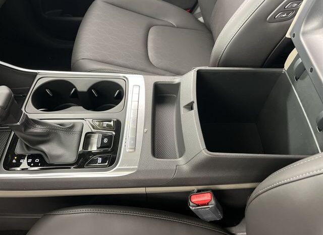 
 Kia Carnival full									