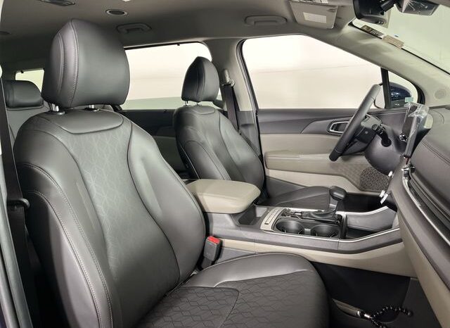 
 Kia Carnival full									