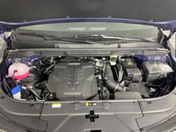 Kia Carnival full