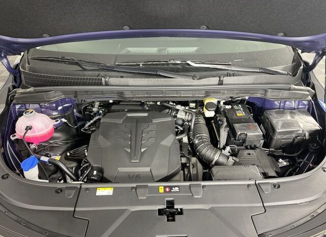 
 Kia Carnival full									