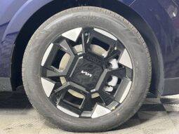 Kia Carnival full