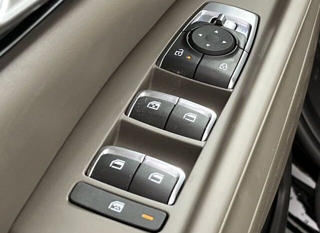 
 Kia Carnival full									