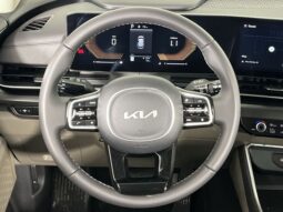 Kia Carnival full