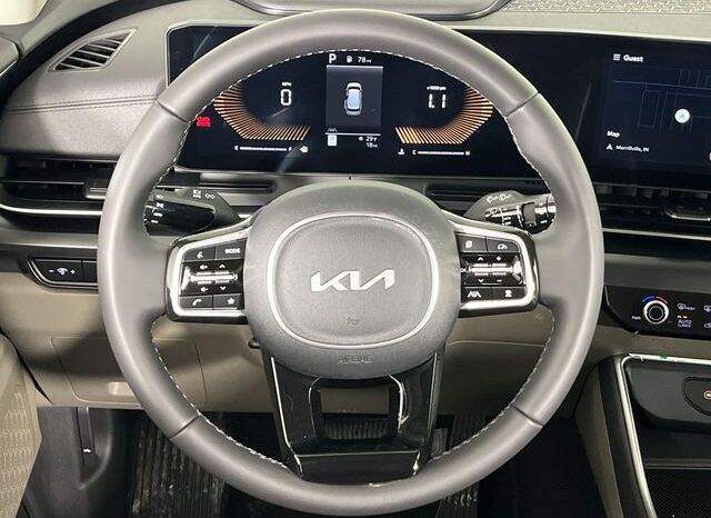 
 Kia Carnival full									