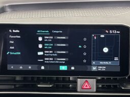 Kia Carnival full