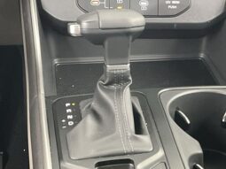 Kia Carnival full