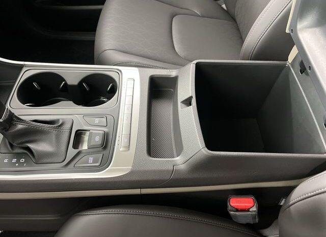 
 Kia Carnival full									