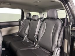 Kia Carnival full