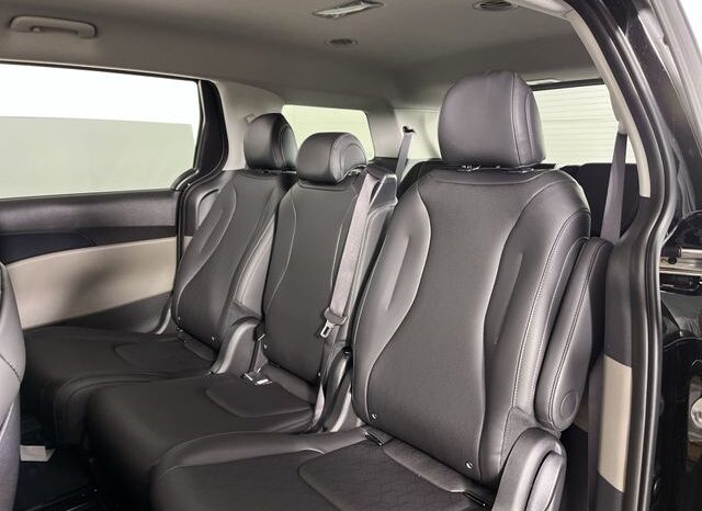 
 Kia Carnival full									