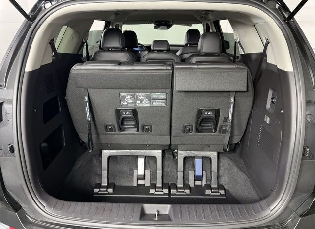 
 Kia Carnival full									