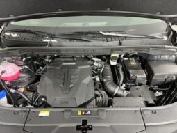 Kia Carnival full
