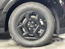 Kia Carnival full